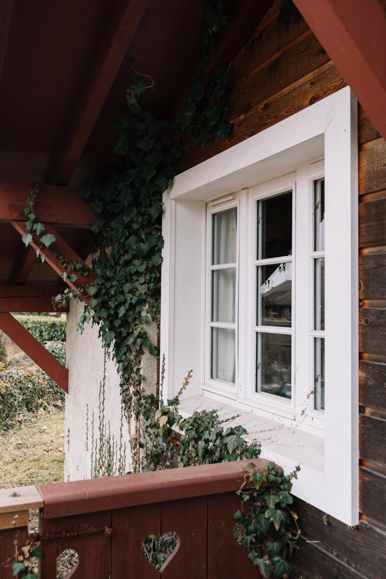 La Verniaz Et Ses Chalets Évian-les-Bains Dış mekan fotoğraf