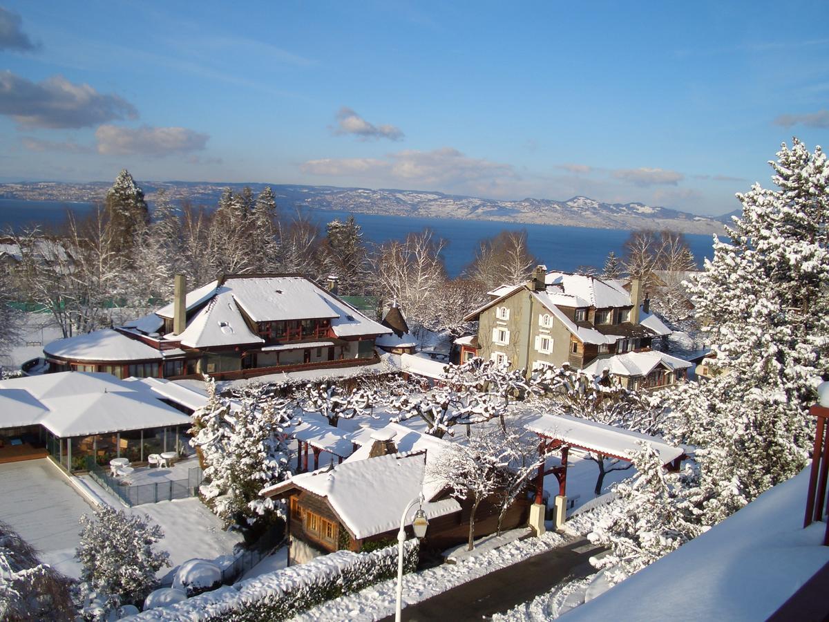 La Verniaz Et Ses Chalets Évian-les-Bains Dış mekan fotoğraf